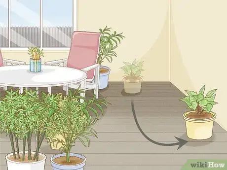 Immagine titolata Control Scale Insects on Indoor Plants Step 7
