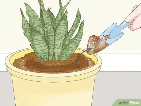 Immagine titolata Get Rid of Mold on Houseplants Step 1