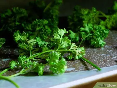 Immagine titolata Dry Parsley Step 14