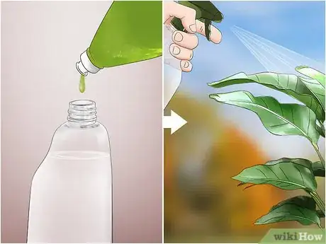 Immagine titolata Get Rid of Earwigs Step 1