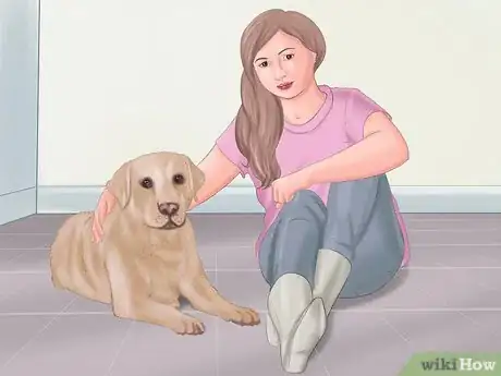 Immagine titolata Groom a Dog Step 27