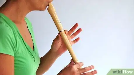 Immagine titolata Play the Recorder Step 3