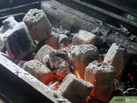 Immagine titolata Light a Charcoal Grill Step 18