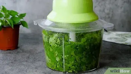 Immagine titolata Freeze Basil Step 4