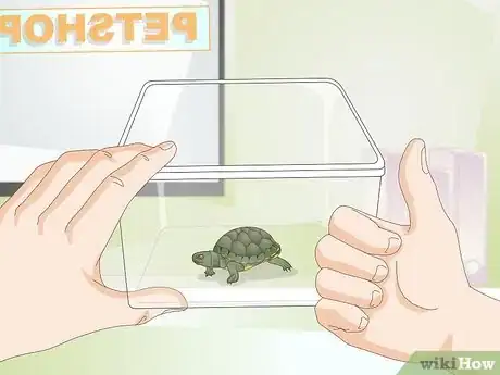 Immagine titolata Keep a Turtle Healthy Step 10