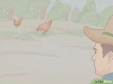 Immagine titolata Catch a Chicken Step 1