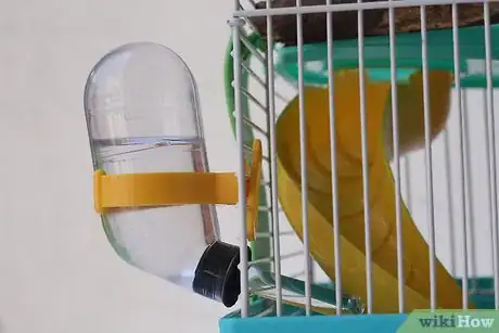 Immagine titolata Treat Your Sick Hamster Step 3Bullet5