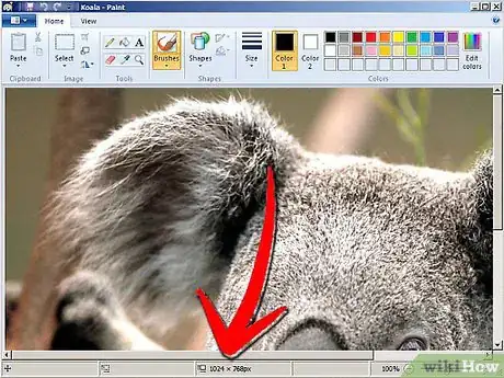 Immagine titolata Easily Resize Photos in Windows XP Step 12Bullet1