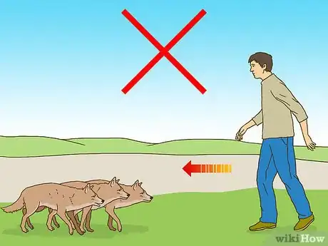 Immagine titolata Act when Near a Coyote Step 5