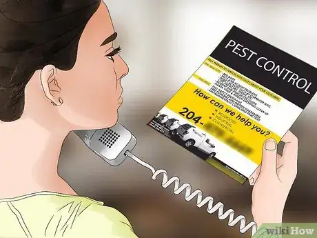 Immagine titolata Get Rid of Mice Fast Step 12