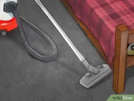 Immagine titolata Stop Bed Bug Bites Immediately Step 9