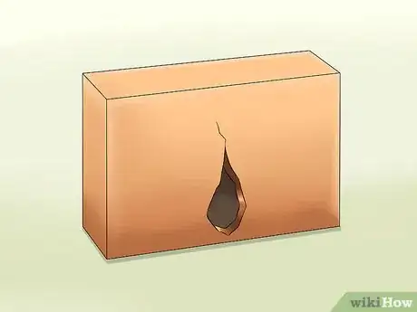 Immagine titolata Catch a Lizard Without Using Your Hands Step 13