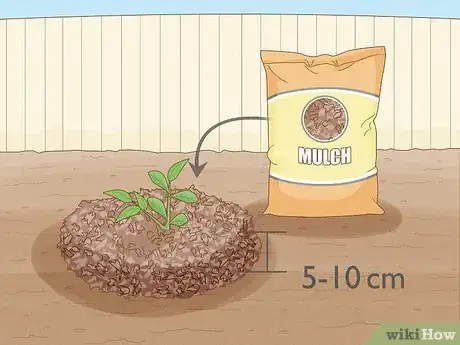 Immagine titolata Plant Peonies Step 14