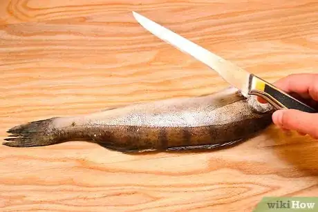 Immagine titolata Fillet a Rainbow Trout Fish Step 2