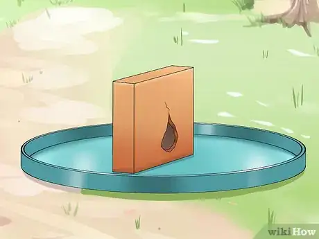 Immagine titolata Catch a Lizard Without Using Your Hands Step 14