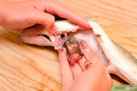 Immagine titolata Fillet a Rainbow Trout Fish Step 4
