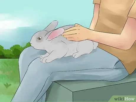 Immagine titolata Catch a Pet Rabbit Step 7