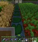 Seminare il Grano in Minecraft PE
