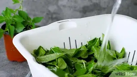 Immagine titolata Freeze Basil Step 9