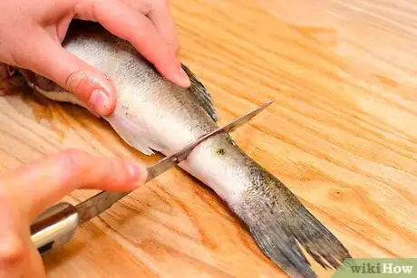 Immagine titolata Fillet a Rainbow Trout Fish Step 6