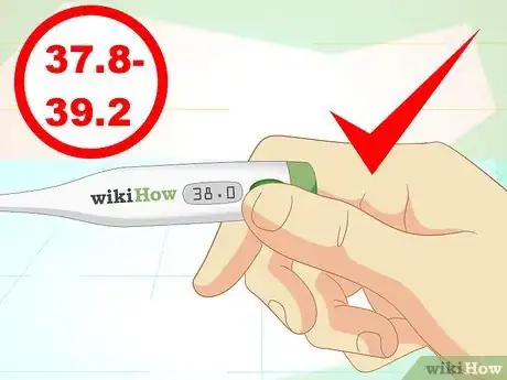 Immagine titolata Check a Cat's Temperature Step 11