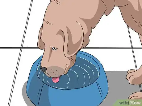 Immagine titolata Introduce Your Baby to Your Dog Step 17