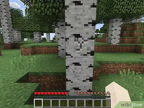 Immagine titolata Survive in Minecraft Step 1