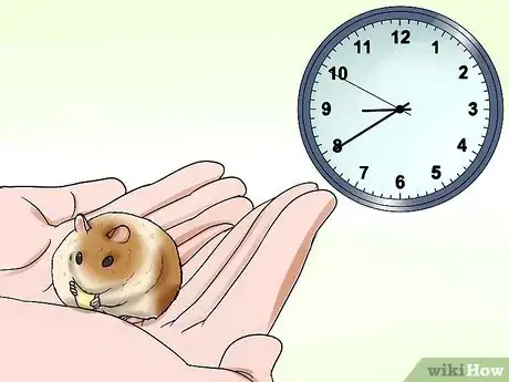 Immagine titolata Handle a Hamster Without Being Bitten Step 9