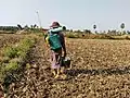 Un agricoltore a Shwe Hlan, in Myanmar, che utilizza un tipico sistema di pompa per l'applicazione di fertilizzanti