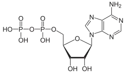 Formula di struttura dell'ADP.