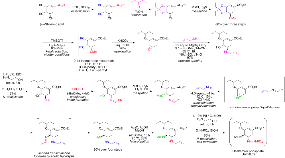 synthesis of tamiflu