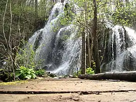 Cascate nel parco Cheile Nerei - Beușnița