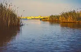 La foce dell'Anapo con vista sull'isola di Ortigia