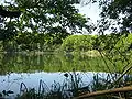 Lago Kociołek nel parco Wielkopolski