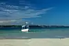 Parco nazionale marino e riserva di Mombasa (immagine)